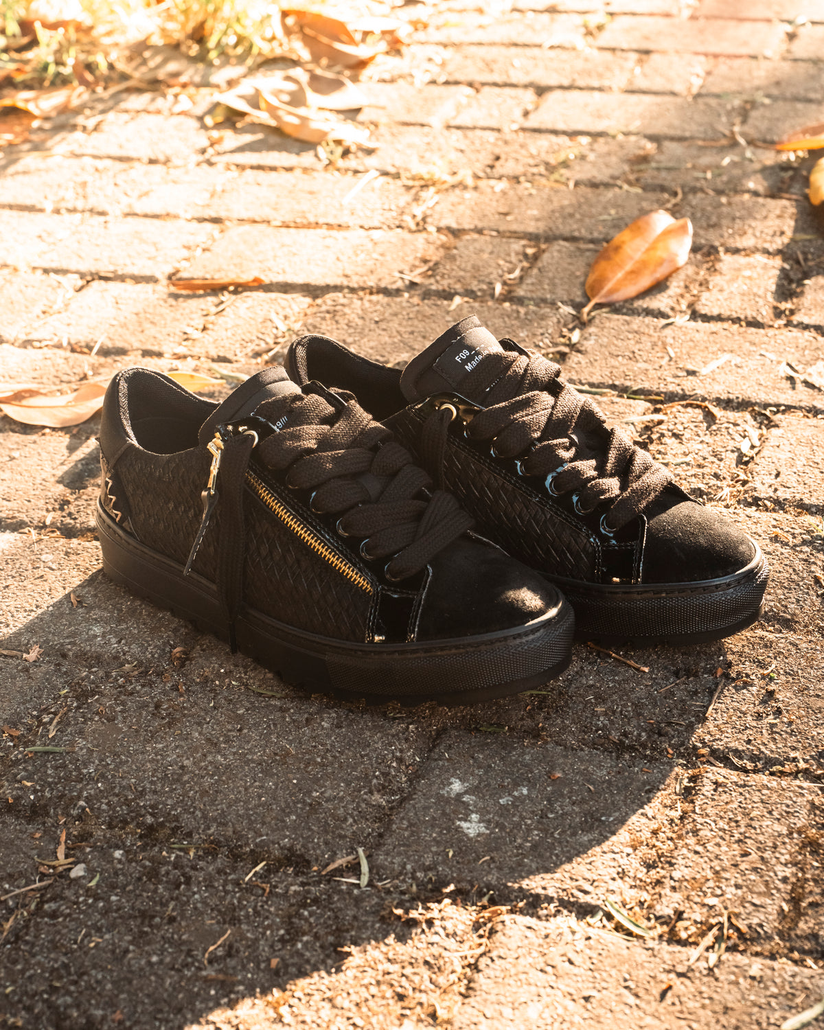 SQUALOS LOW BLACK 2.0
